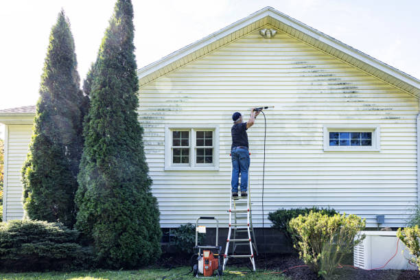 Best Driveway Pressure Washing  in London, OH