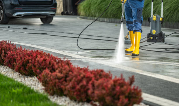 Best Driveway Pressure Washing  in London, OH